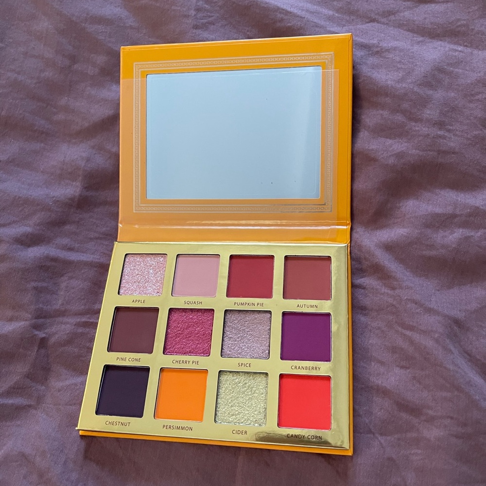 Ace Beaute falling for you palette eyeshadow